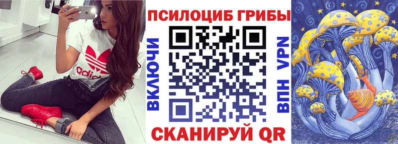 Псилоцибиновые грибы мицелий  ОМГ ОМГ вход  Чёрмоз 